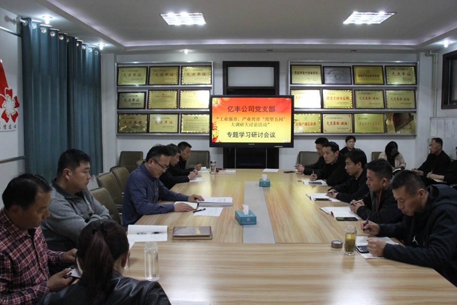 億豐公司黨支部開(kāi)展“工業(yè)強市、產(chǎn)業(yè)興市‘攻堅五問(wèn)’  大調研大討論活動(dòng)”專(zhuān)題研討會(huì )議